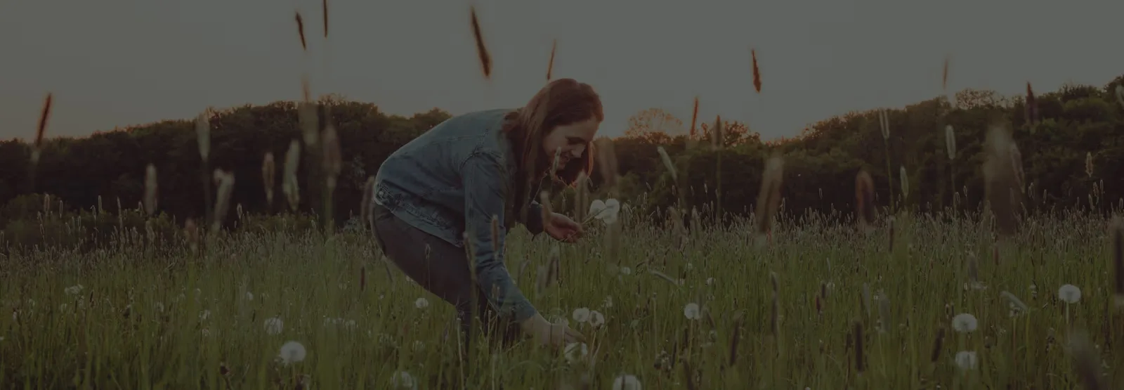 A woman picking dandelions in a field